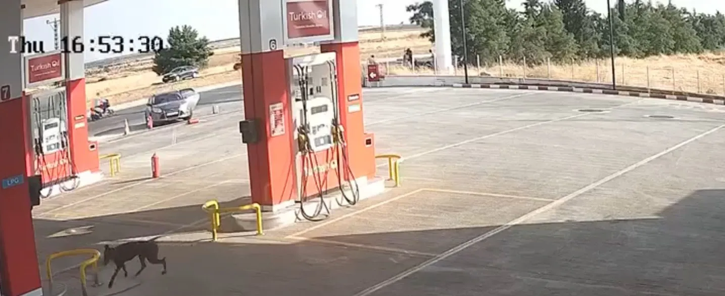 Gaziantep'te alacak kavgası kanlı bitti 2 ölü, 5 yaralı