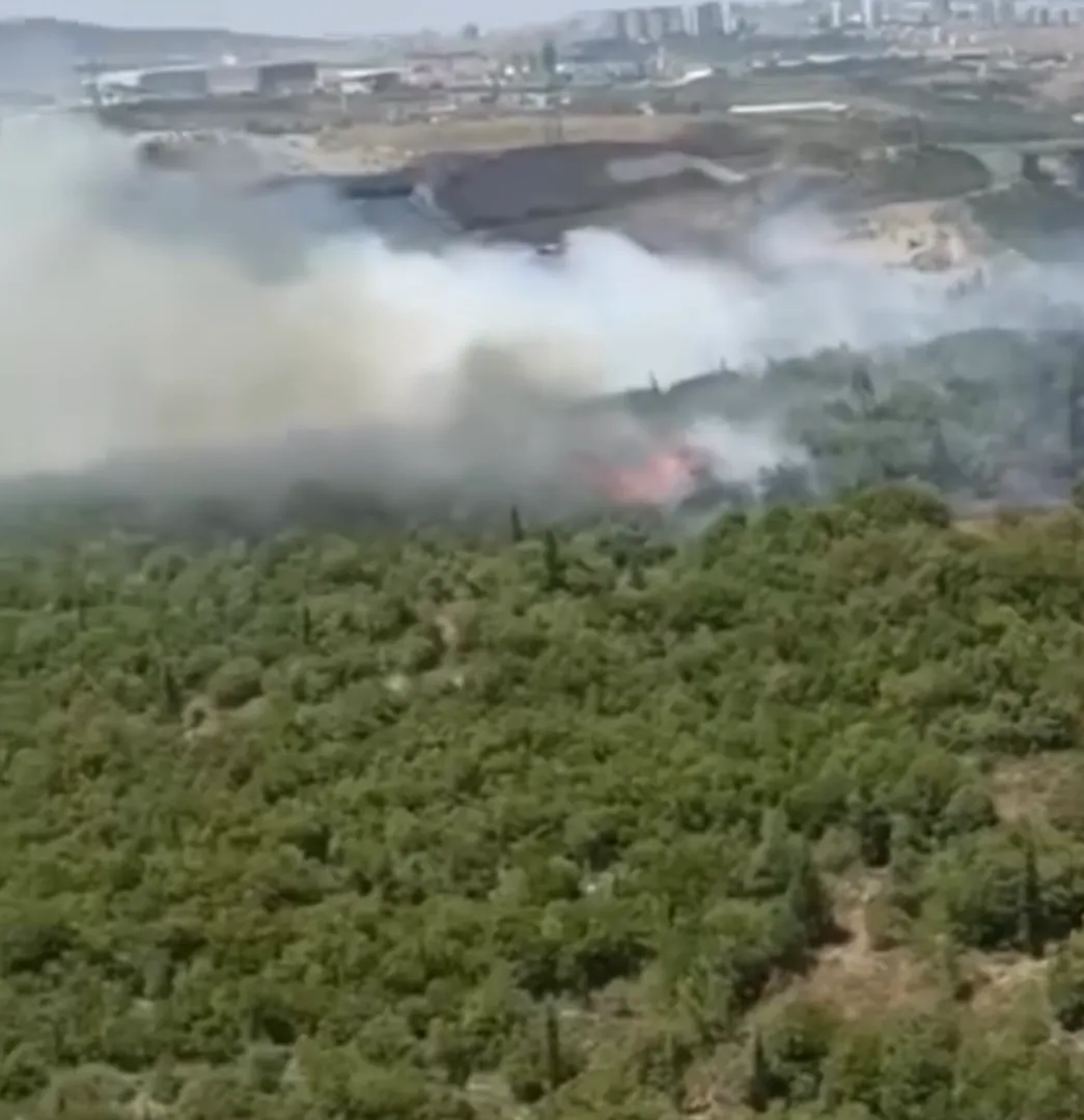 Dilovası'nda orman yangını paniği