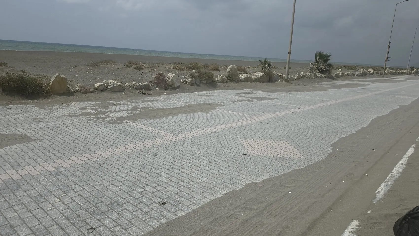 Samandağ sahilinde ışık kirliliği yaklaşık 40 yavru kaplumbağayı öldürdü