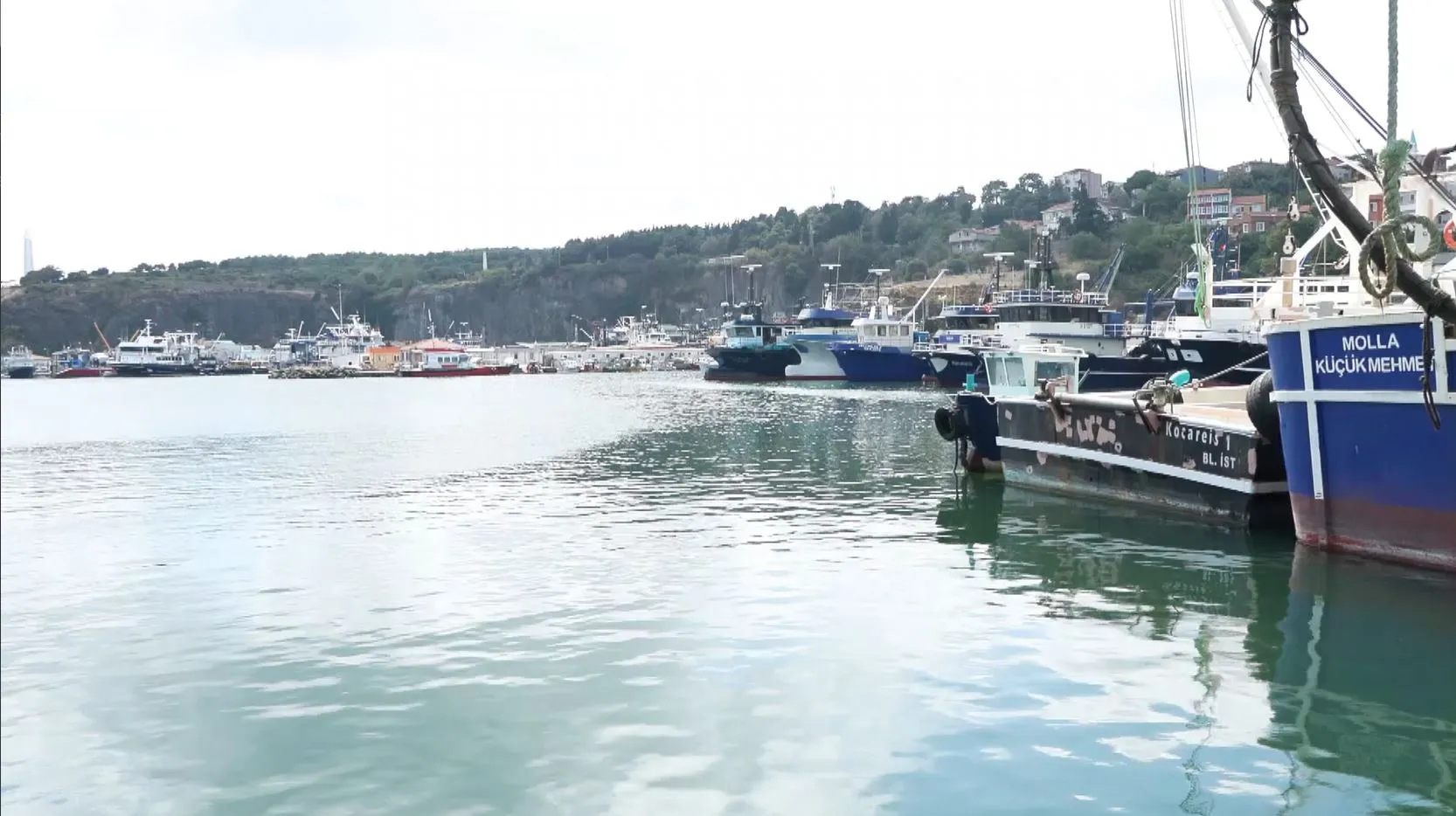 Yeni balık sezonunda palamut bereketi bekleniyor
