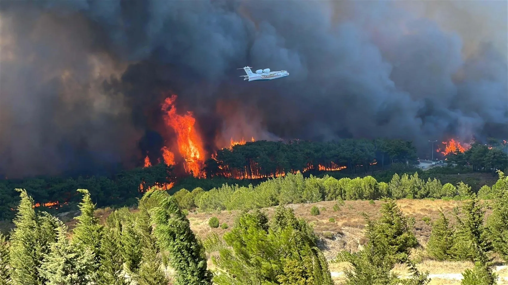 Çanakkale ormanlarında yangın bilançosu yarı yarıya azaldı