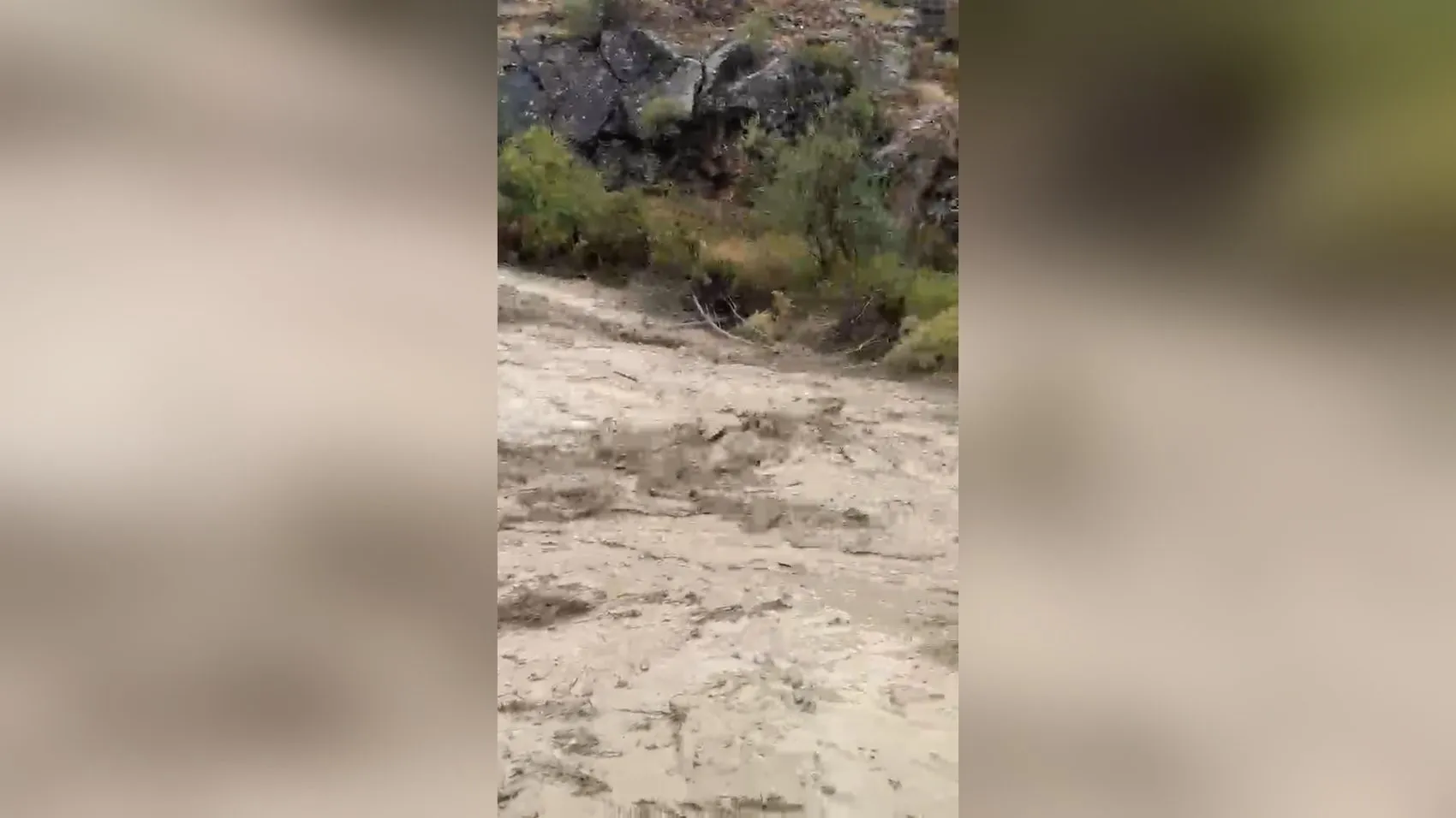 Malatya'da sel baskını Hasat döneminde kayısı bahçeleri çamur altında kaldı