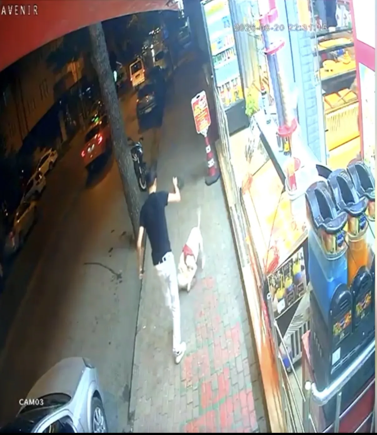 Bağcılar'da sorumsuz köpek sahibi mahalle kedisinin ölümüne neden oldu?