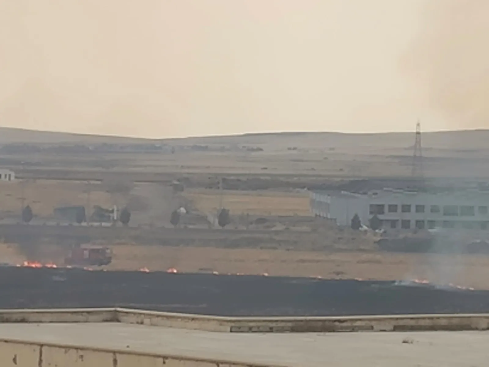 Diyarbakır'da hastane bölgesinde anız yangını paniği yaşandı