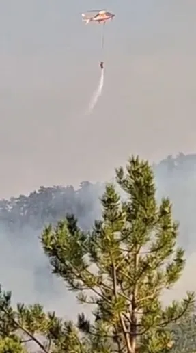 Bolu Göynük alevlere teslim oldu