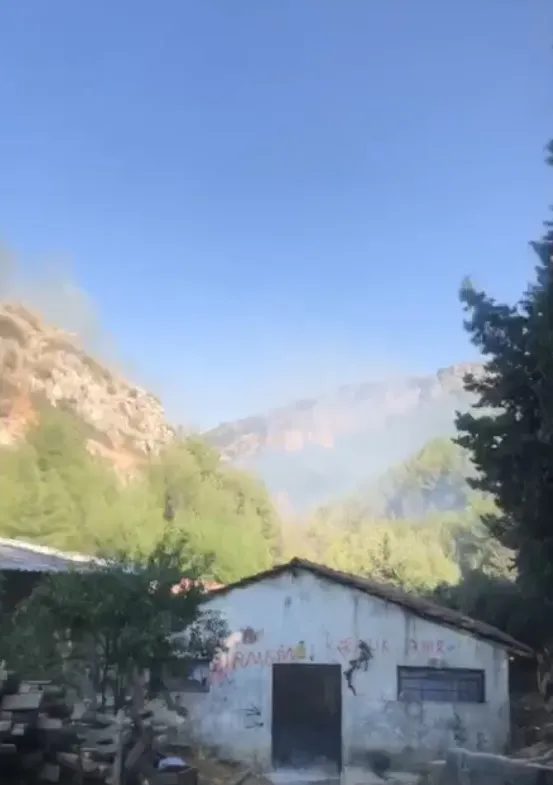 Hatay'da ormanlık alanda yangın alarmı
