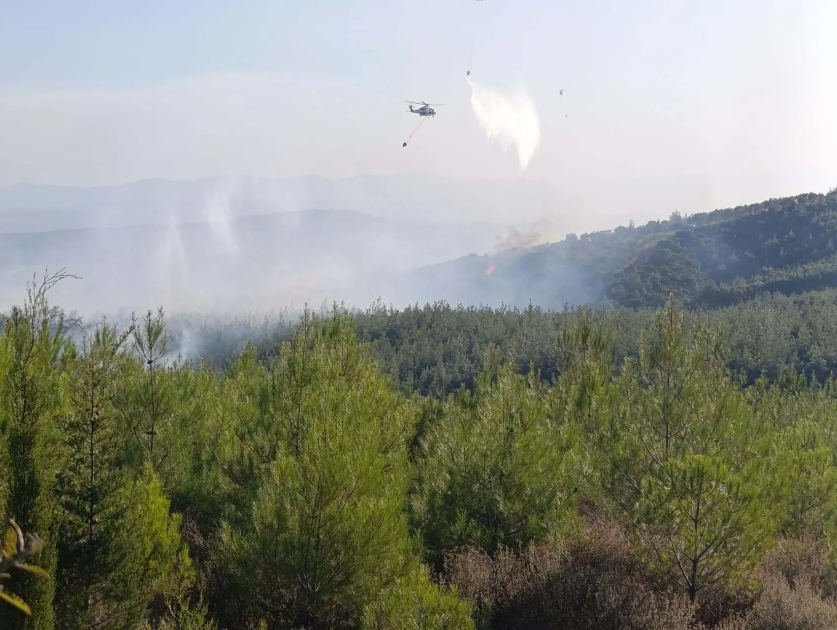 Çanakkale'de ormanlık alanda endişe veren alevler