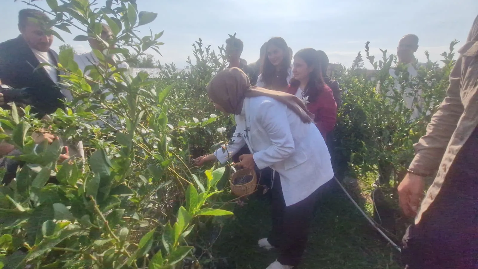 Bakan Göktaş Düzce'de genç girişimcinin bahçesini ziyaret etti