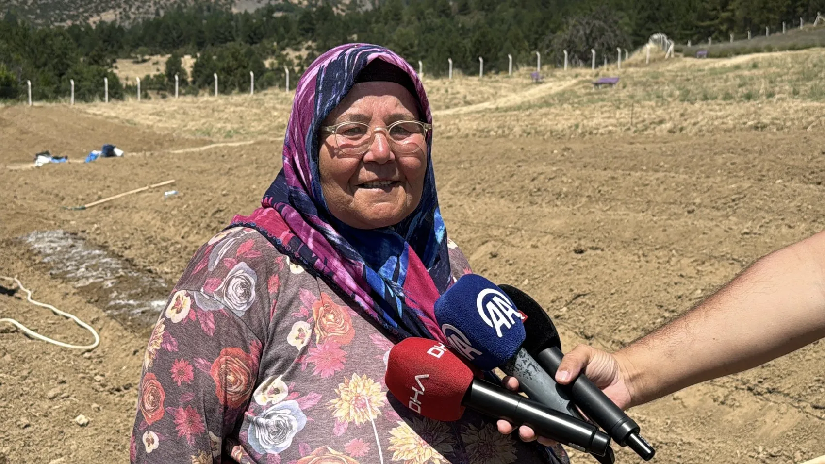 Dünyanın en pahalı baharatında hasat geri sayımı başladı
