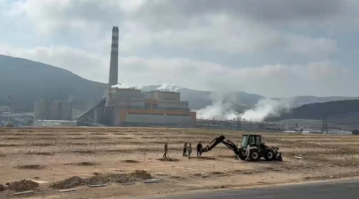 Termik santralin atık ısısı artık domates yetiştirecek