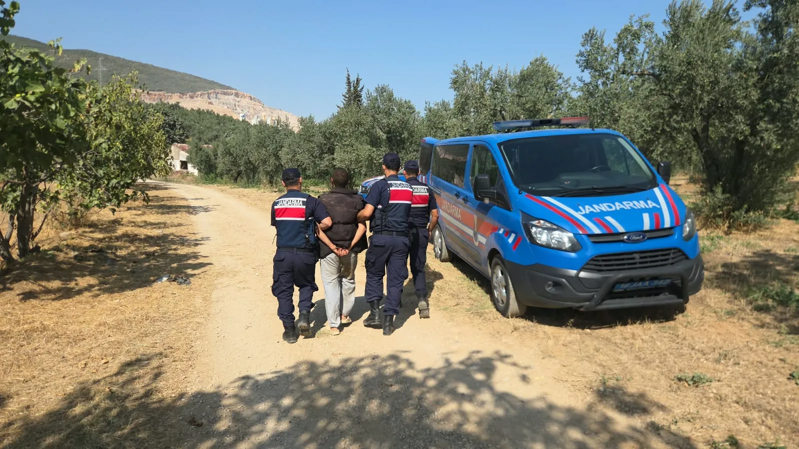 Zeytinliğe kaçtı, jandarma orada yakaladı