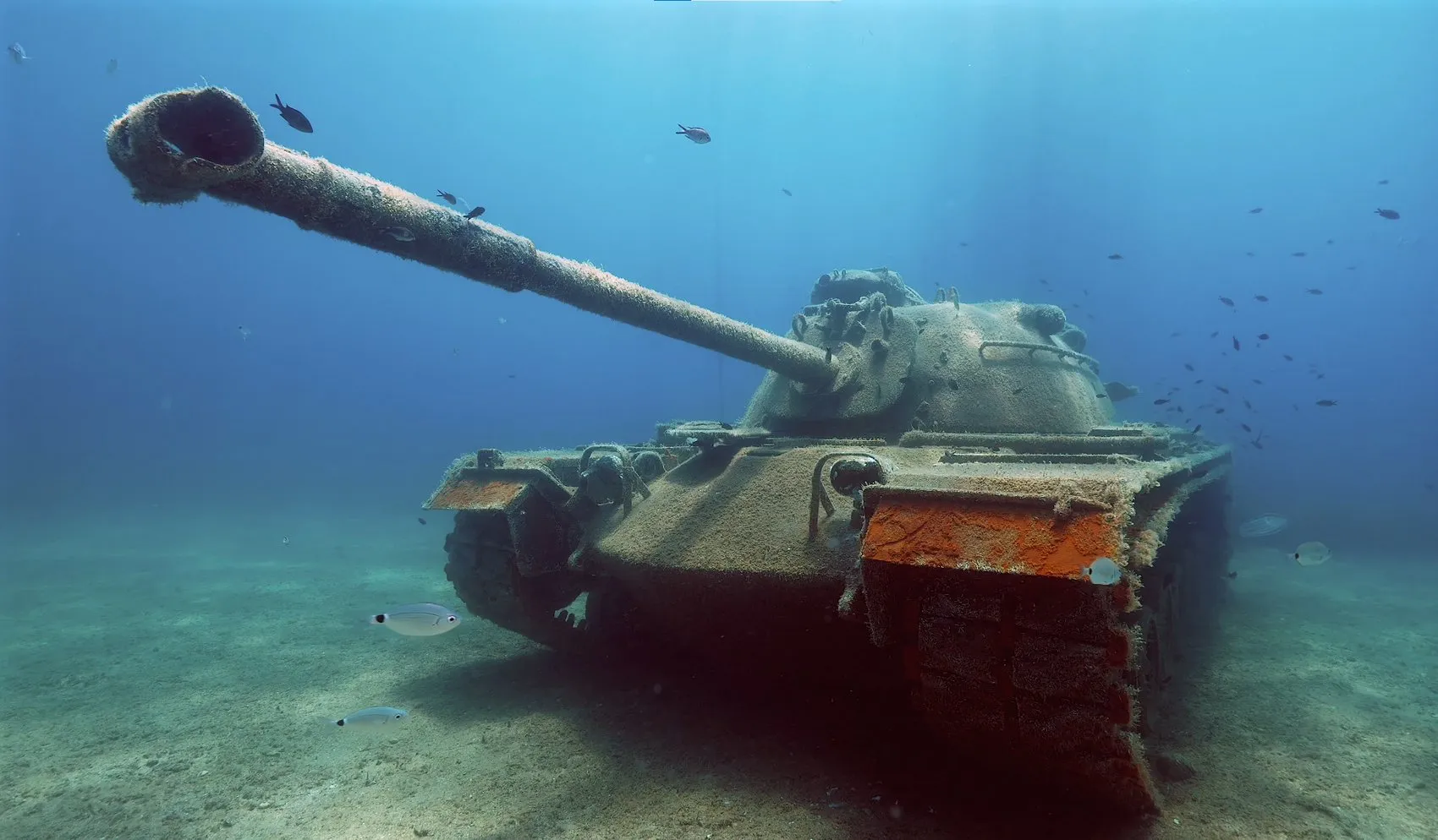 Saros Körfezi'nde su altındaki tank dalgıçların yeni rotası oldu