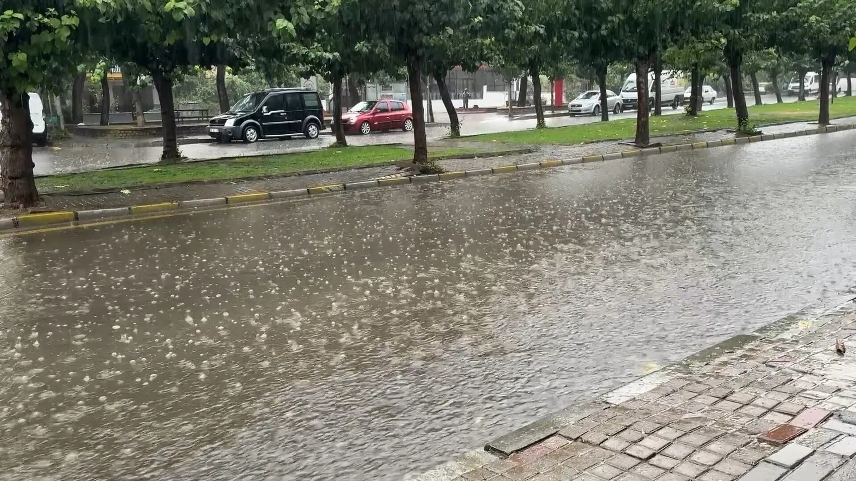 Aydın Efeler'de aniden bastıran yağmur hayatı felç etti