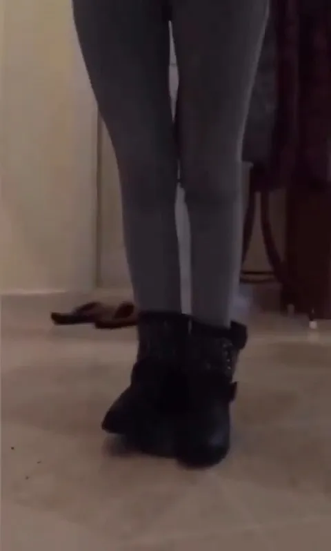 15 Yıl Önceki Kaplumbağa Videosu Sahibini Buldu, Polis Kapısını Çaldı