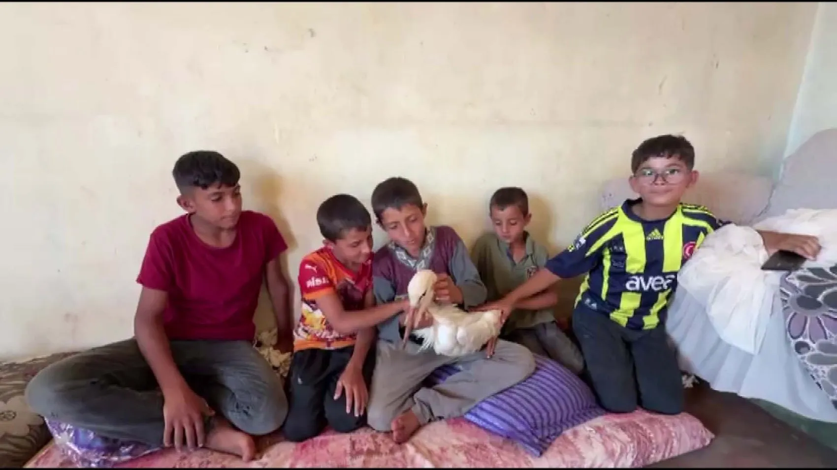 Reyhanlılı çocukların göç yolundaki misafiri
