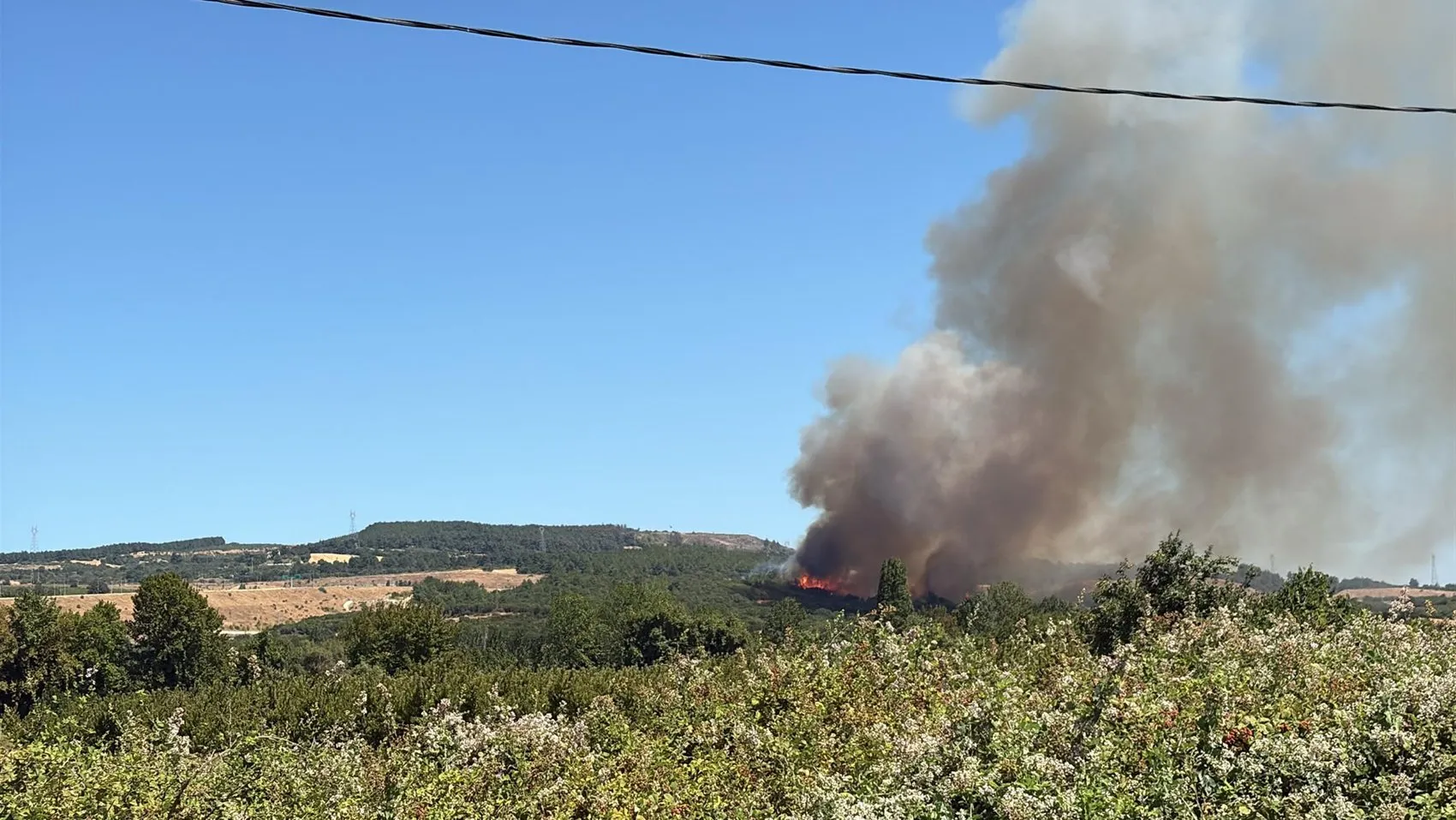 Çanakkale Lapseki’de tarım arazisi alevlere teslim oldu