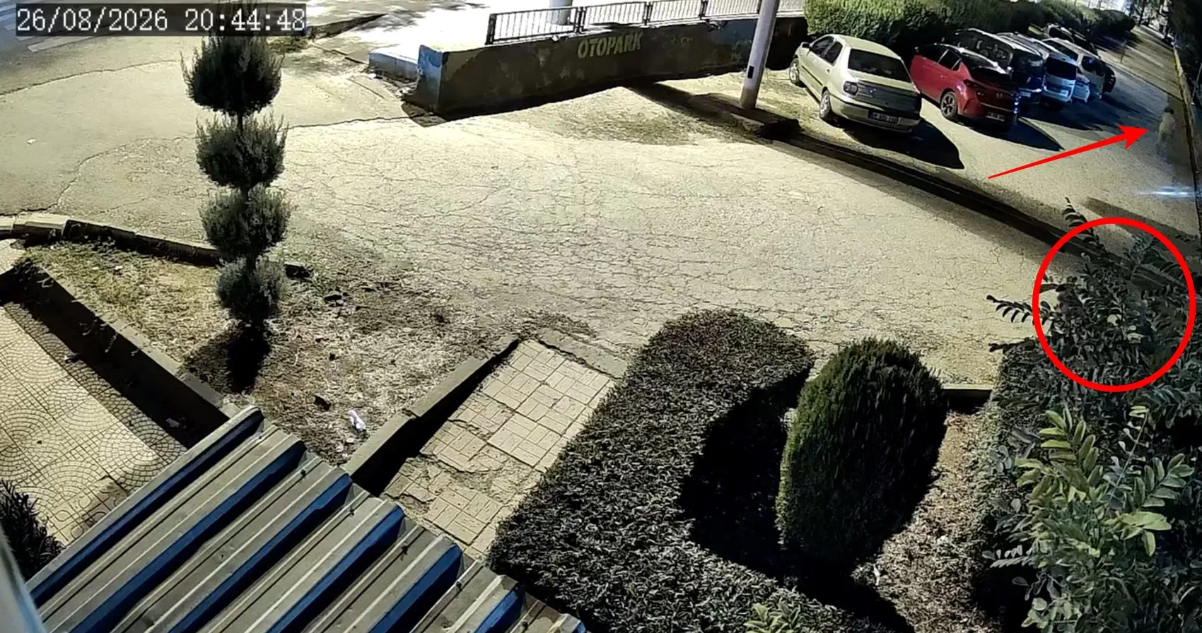 Parkta eşini vurup çocuğuyla kaçtı, yakalandı adliyede
