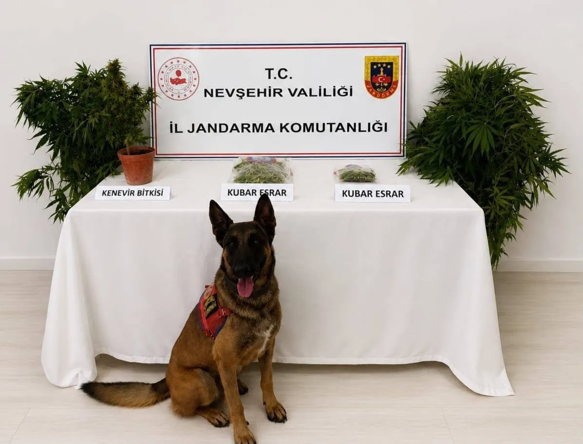 Nevşehir merkezli uyuşturucu baskınında 6 kişi yakalandı
