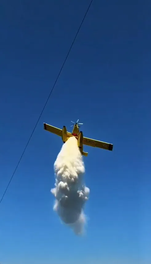 Rüzgarın sıçrattığı yangını ekipler 3 saatte söndürdü