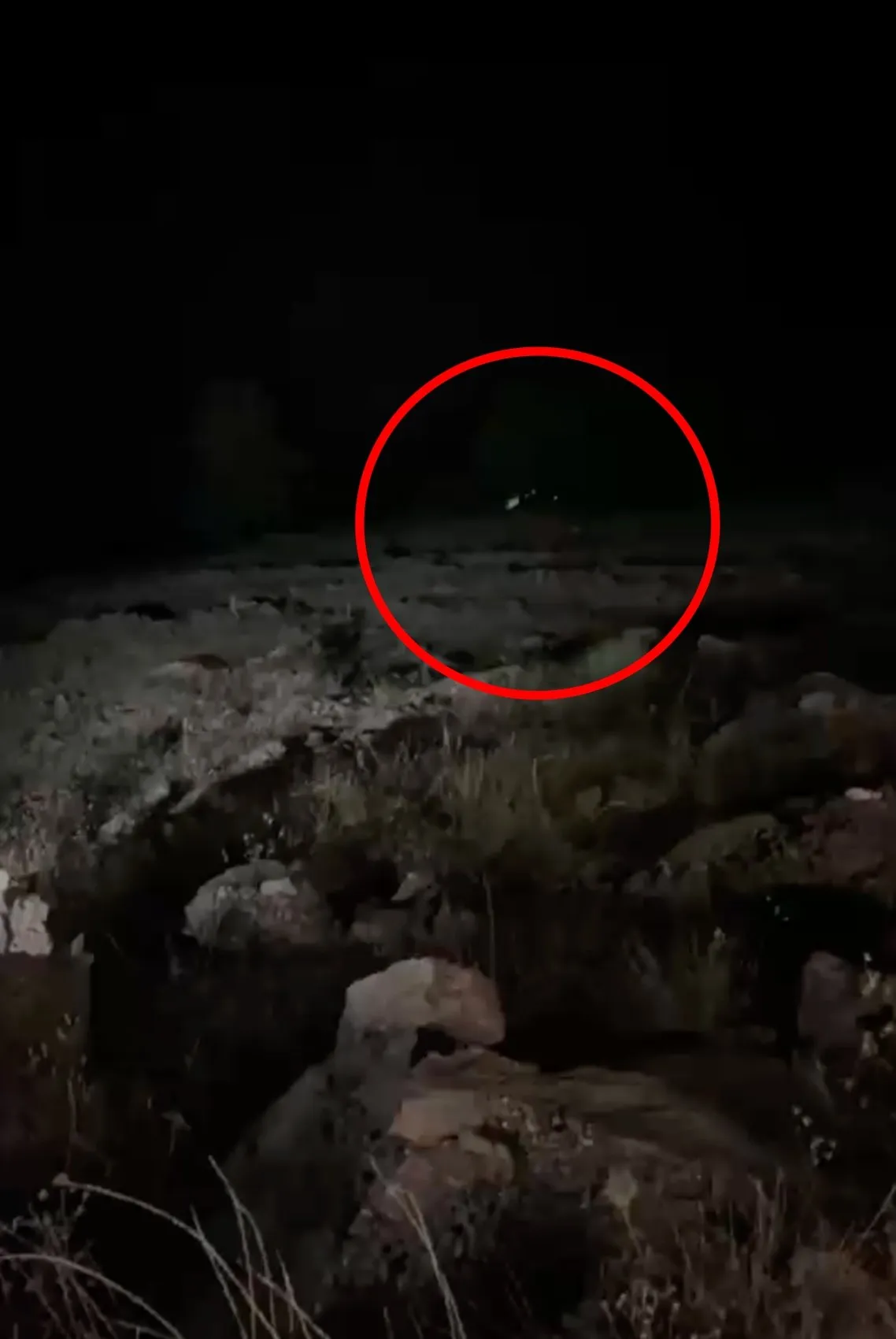 Gece yolculuğu faciayla bitti 4 ölü, 5 yaralı