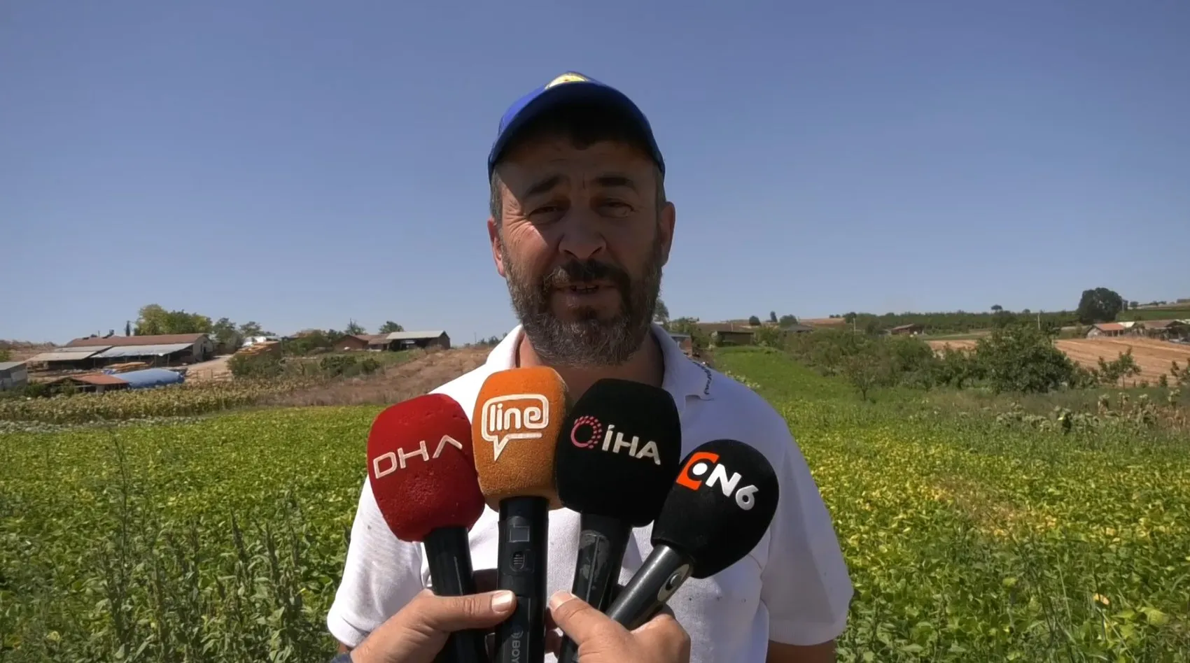 Yenişehirli çiftçinin şeker fasulyesi bereketi