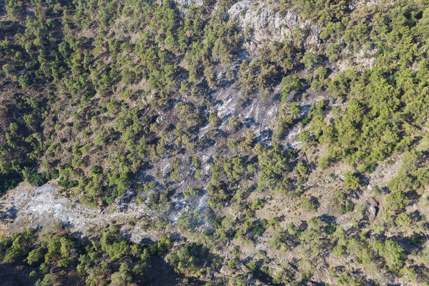 Antalya orman yangını 14 saatlik mücadelenin ardından söndürüldü