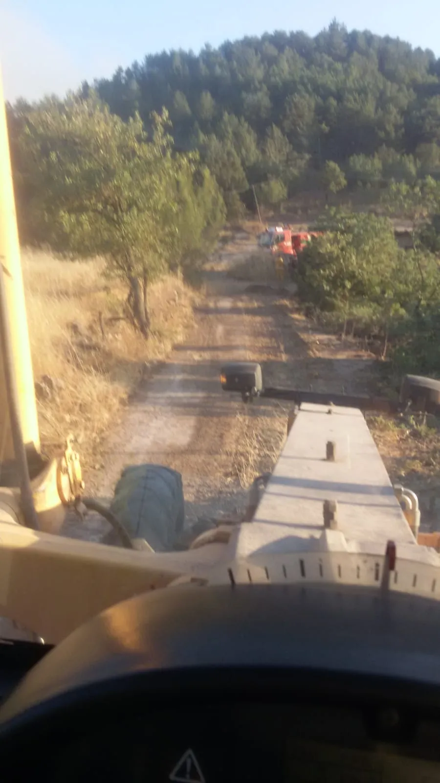 Sındırgı yolunda kamyon yangını ormana sıçradı