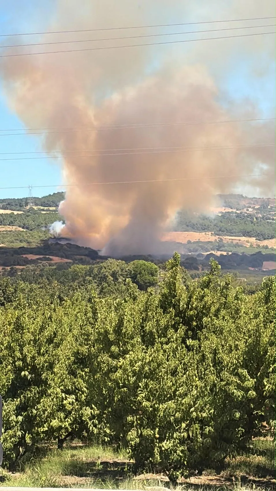 Çanakkale Lapseki’de tarım arazisi alevlere teslim oldu