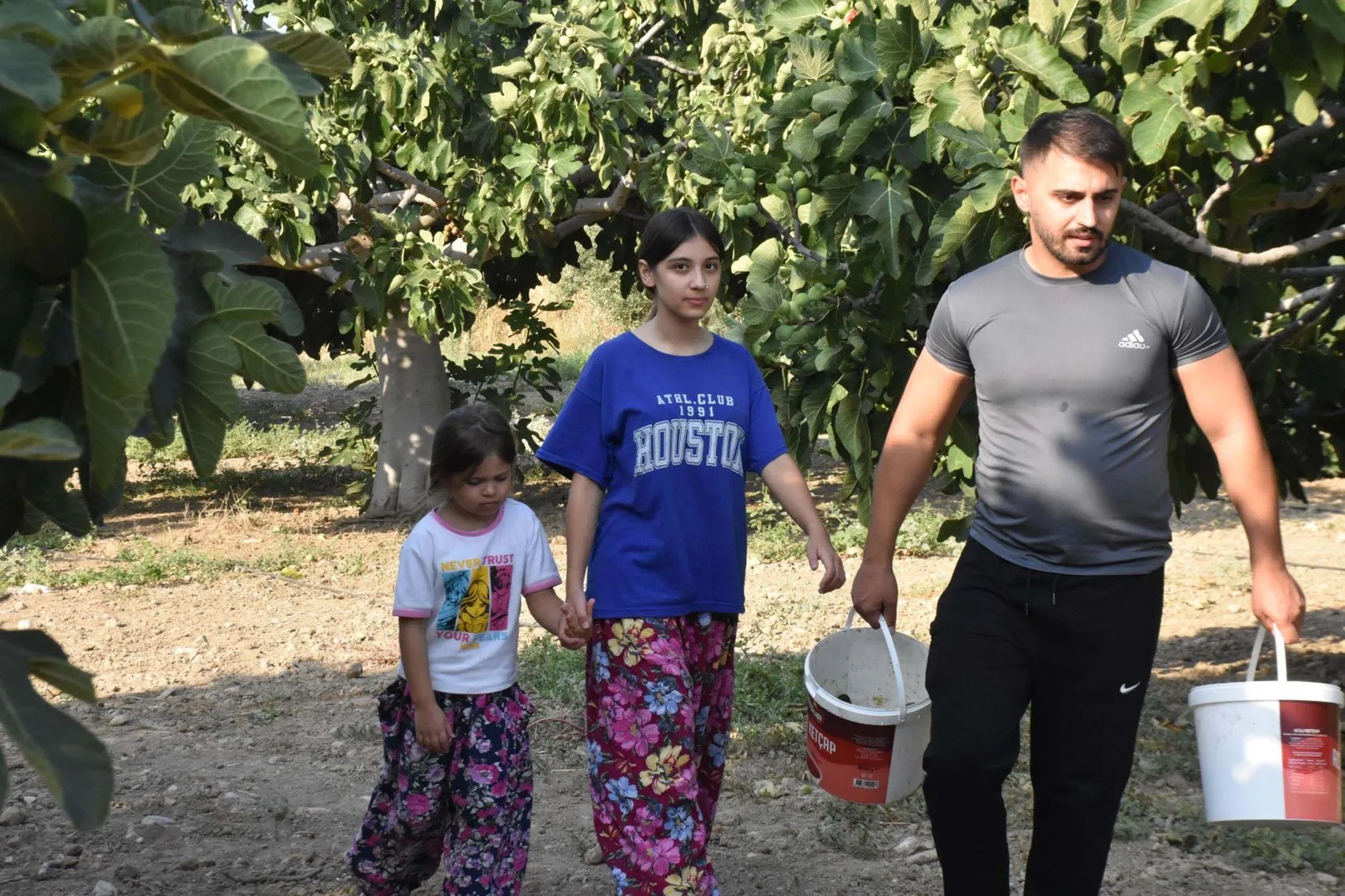 İzmir'in meşhur bardacık inciri tezgahlara iniyor