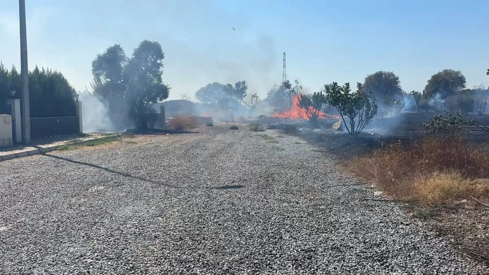 Efeler'de ot yangını zeytinliğe sıçradı Alevler villaların bahçesine dayandı