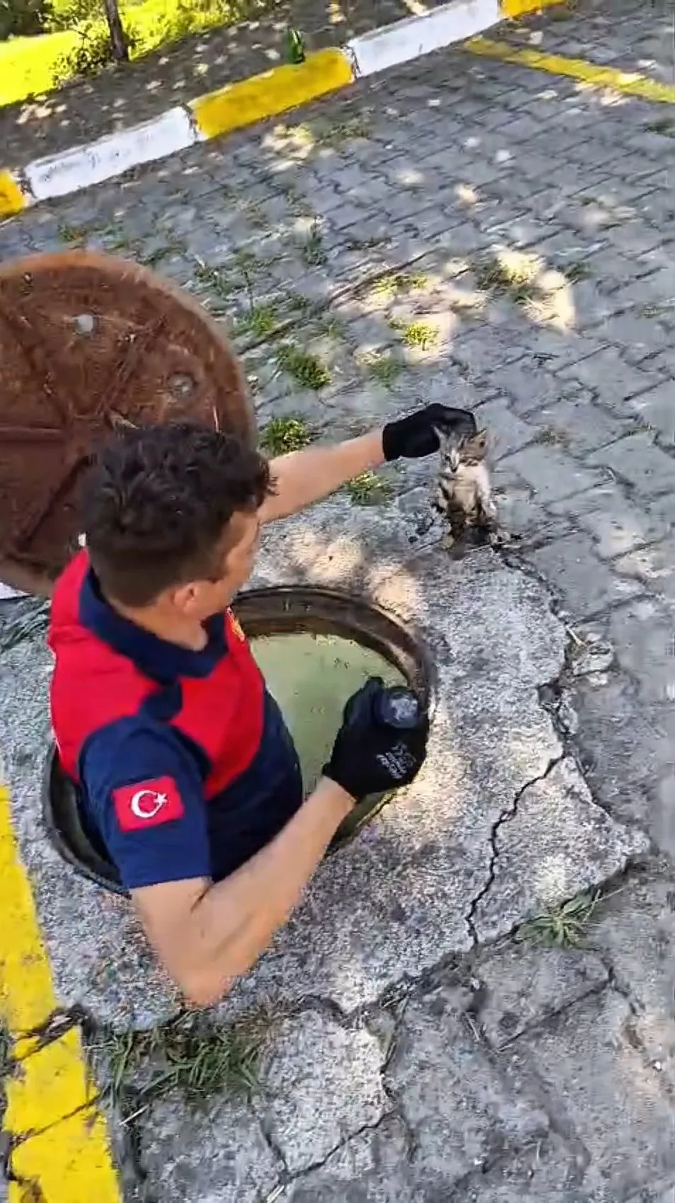 Zonguldak'ta rögara sıkışan yavru kedi bir saatlik uğraşla kurtarıldı