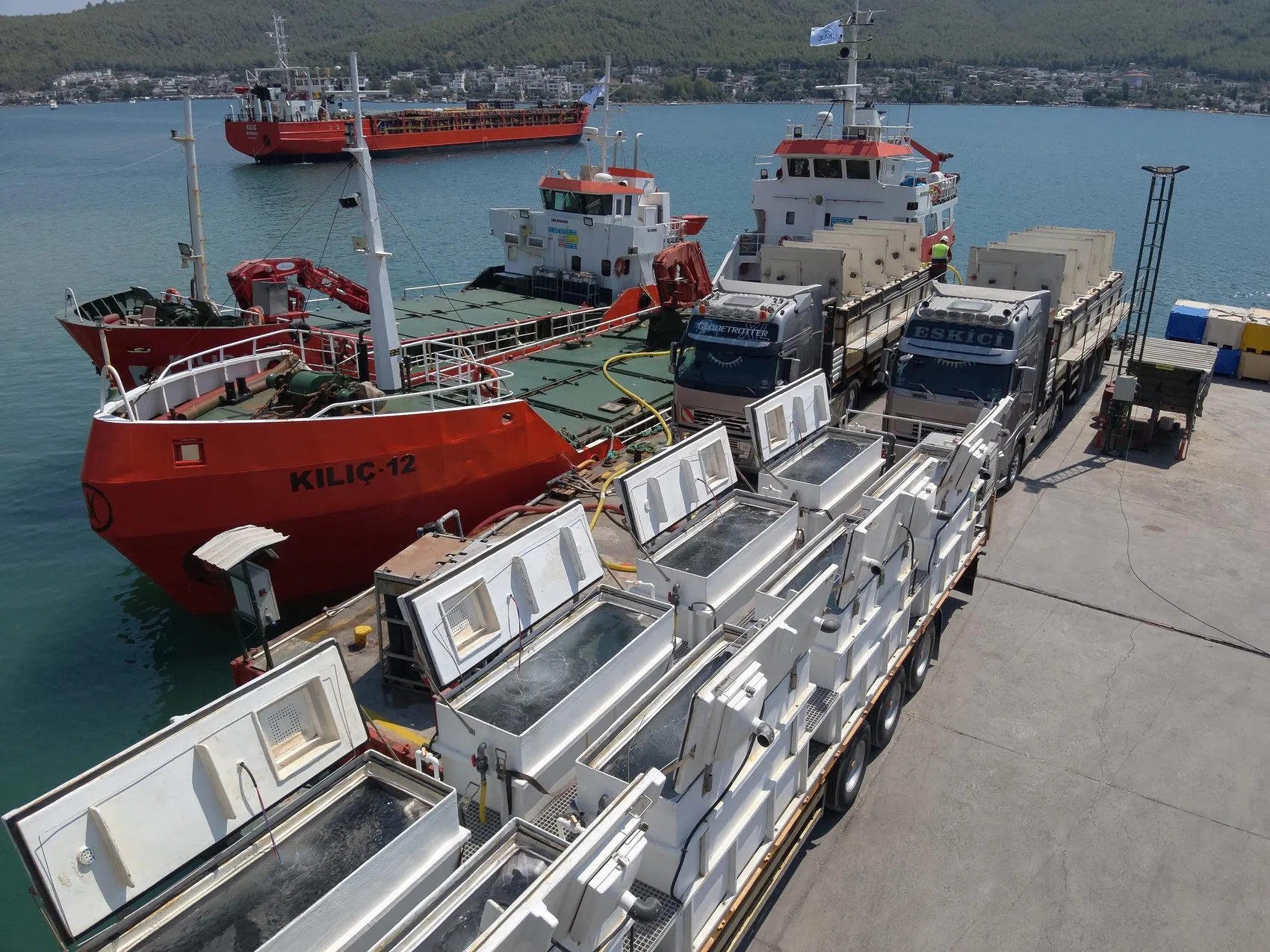 Muğla'nın mavi hazinesi 900 milyon yavru balık 5 ülkeye ihraç ediliyor