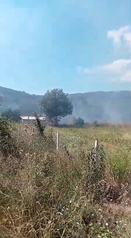 Mudanya'da zeytinlikleri küle çeviren yangın evlere sıçramadan söndürüldü