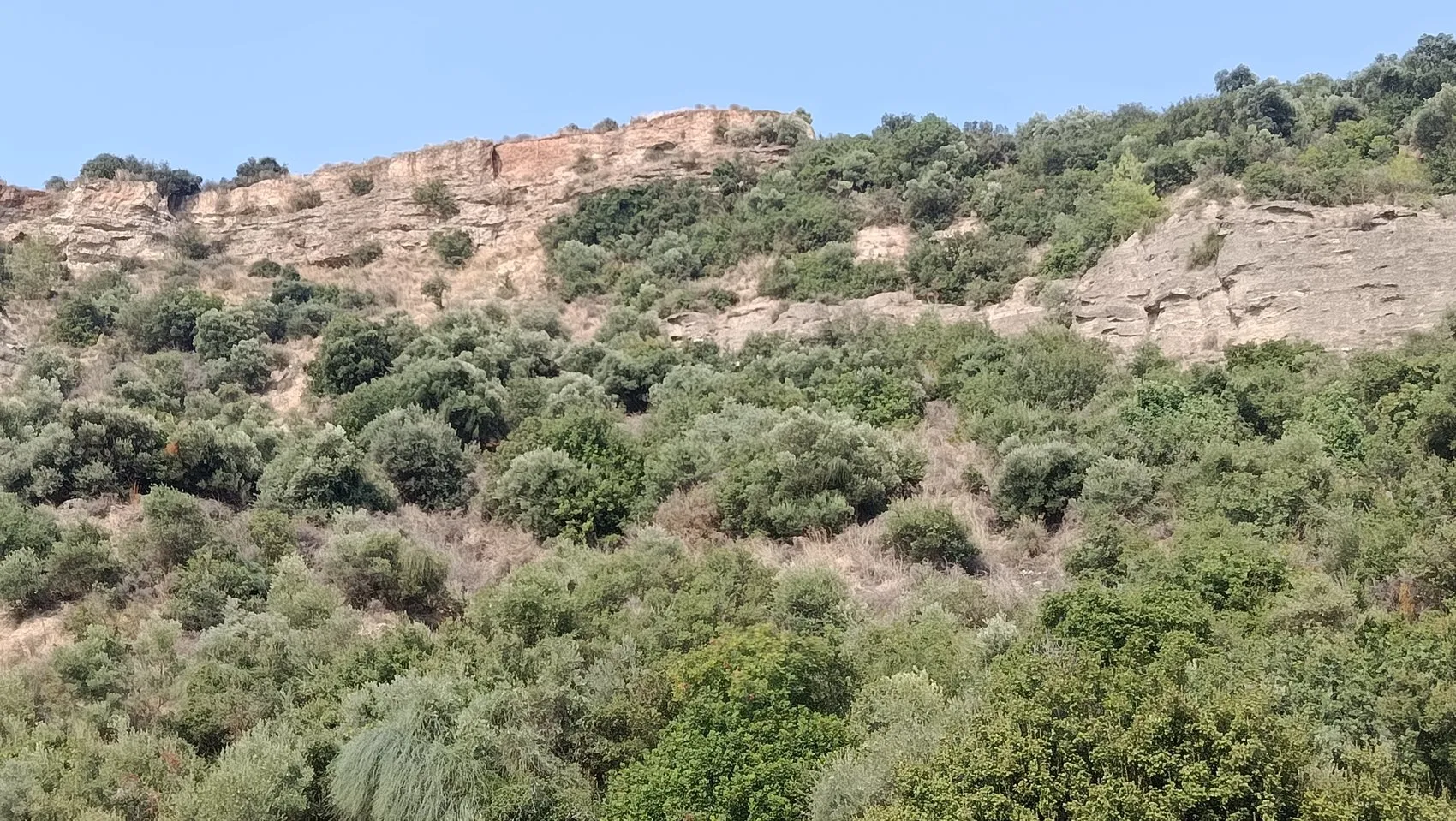Seda'nın otomobili 200 metreden uçuruma düştü, genç kadın öldü