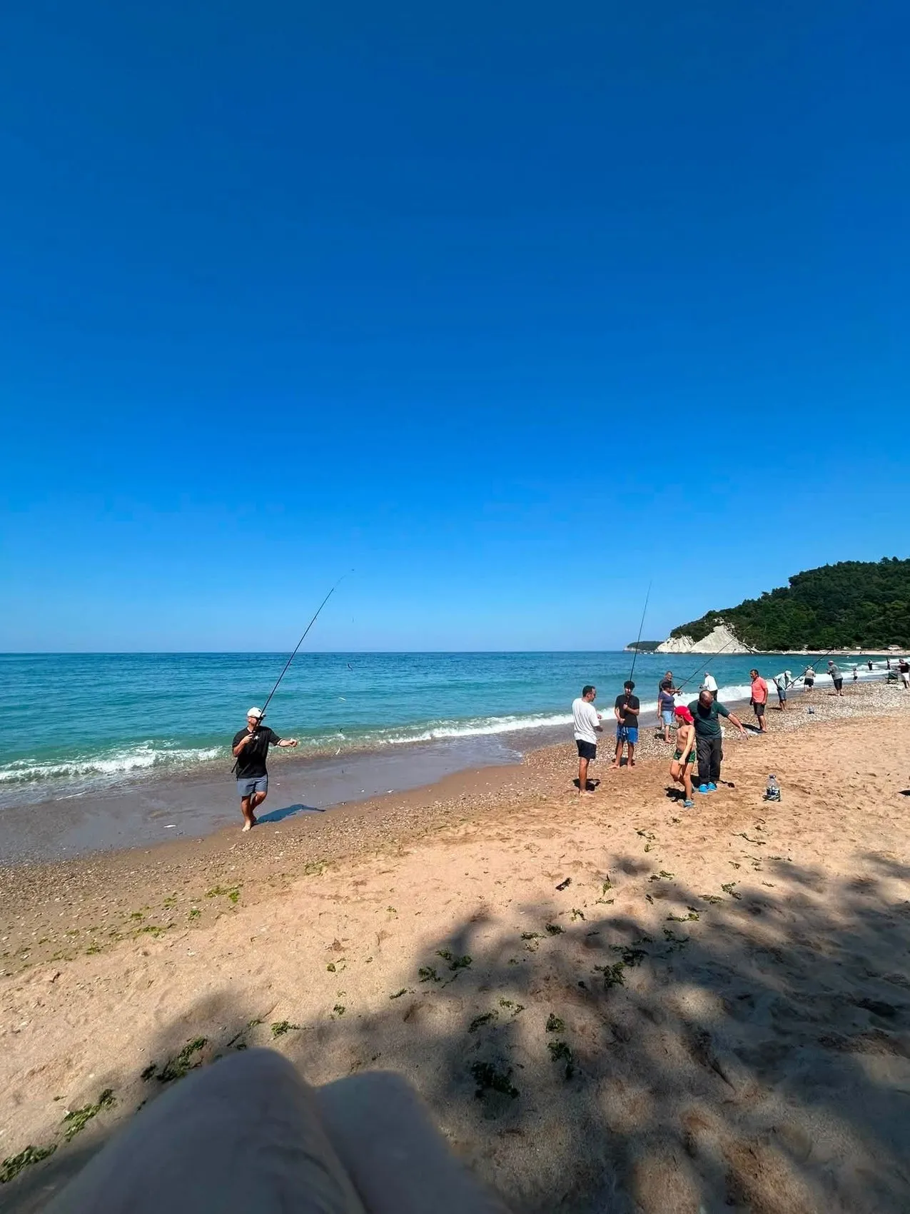Bartın'da deniz soğudu istavrit sahile indi