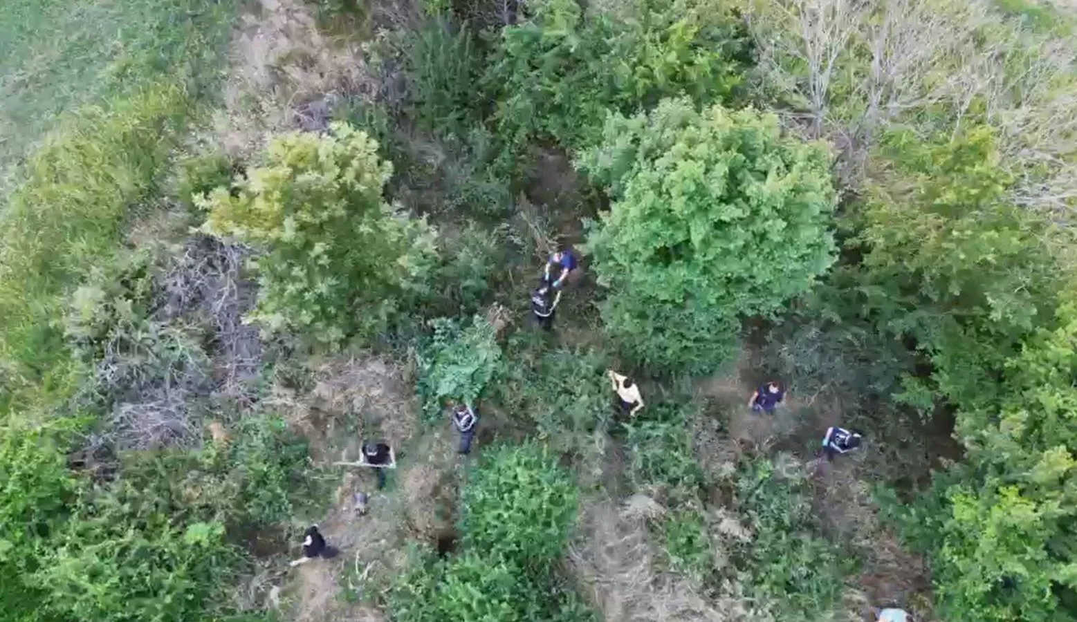 Samsun’da uyuşturucu operasyonu havadan görüntülendi