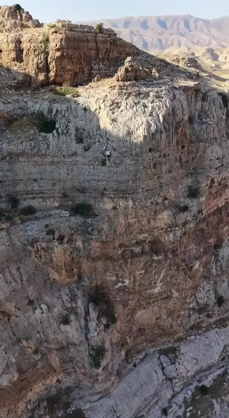 Batman’da 600 metre yükseklikte tehlikeli bal mesaisi