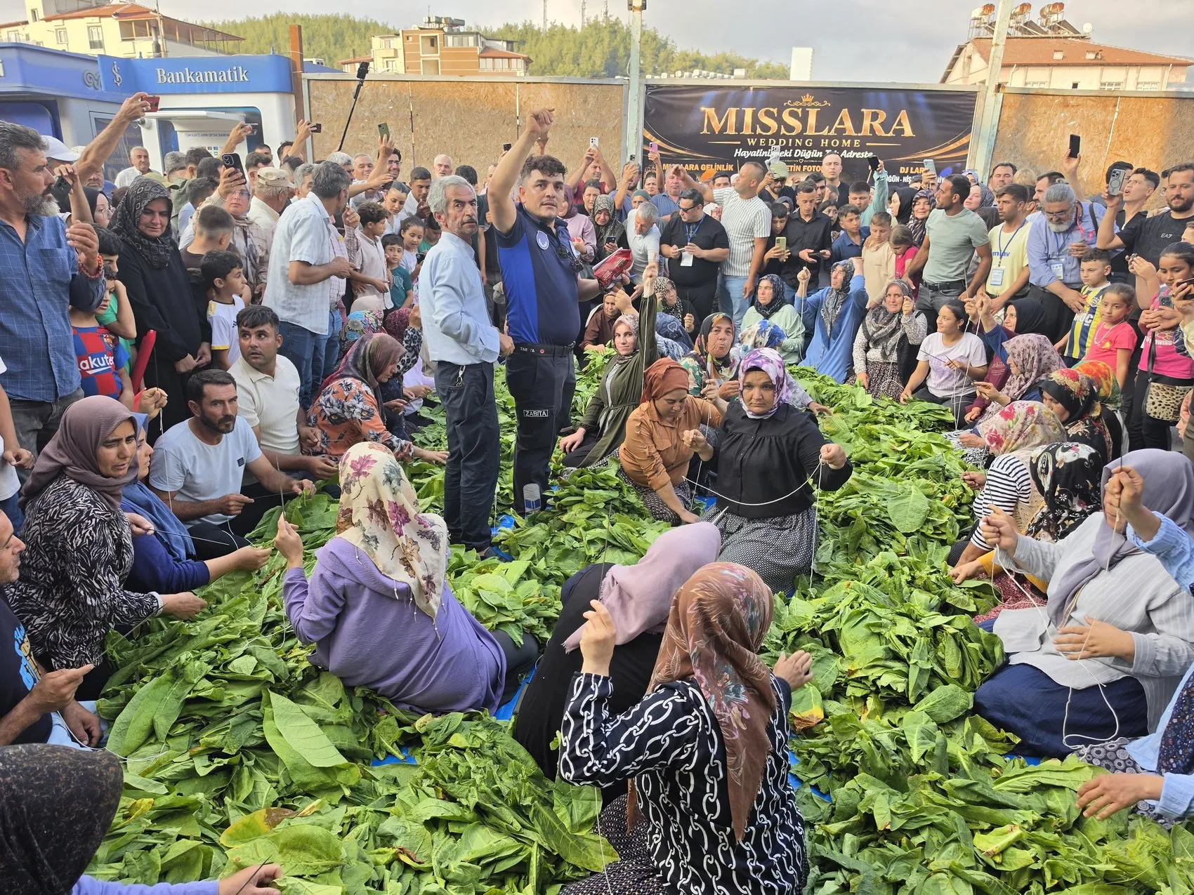 Yayladağı’nda geleneksel aba güreşi heyecanı başladı