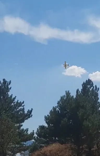 Balıkesir'de kamyon yangını ormanlık alana sıçradı