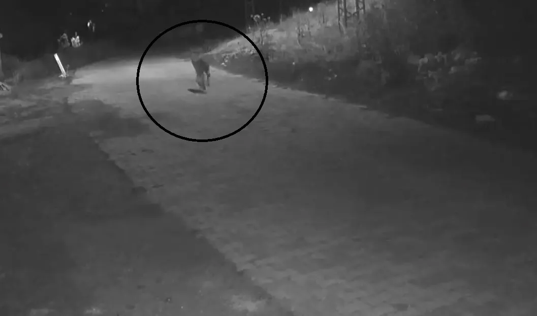 Sivaslı kadının gece çöp macerası kabusa döndü