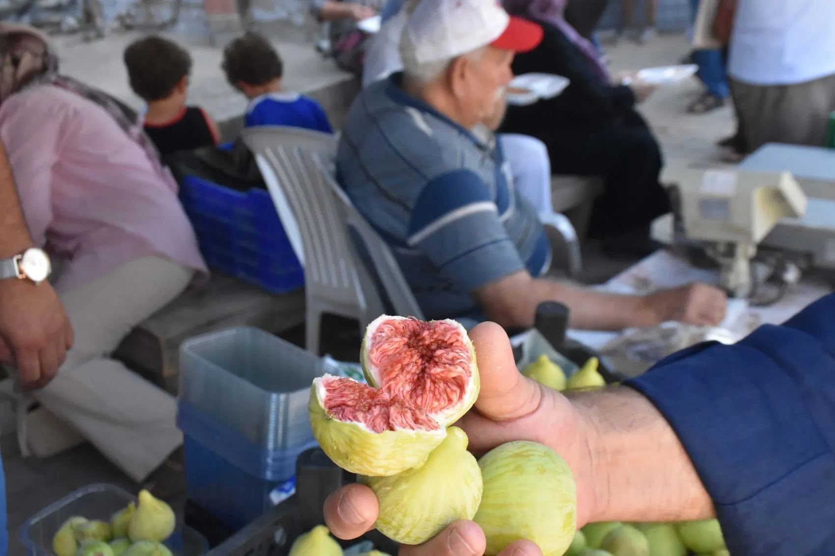 İzmir'de incir şöleni Bardacık üreticisiyle buluştu