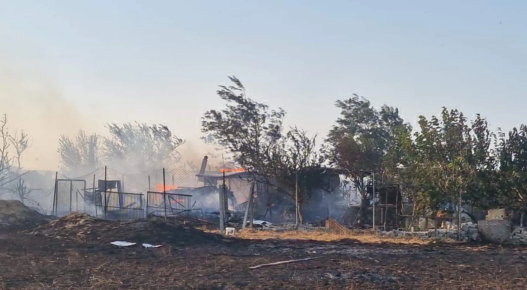 Tekirdağ'da anız yangını 7 bin dönümlük alanı küle çevirdi
