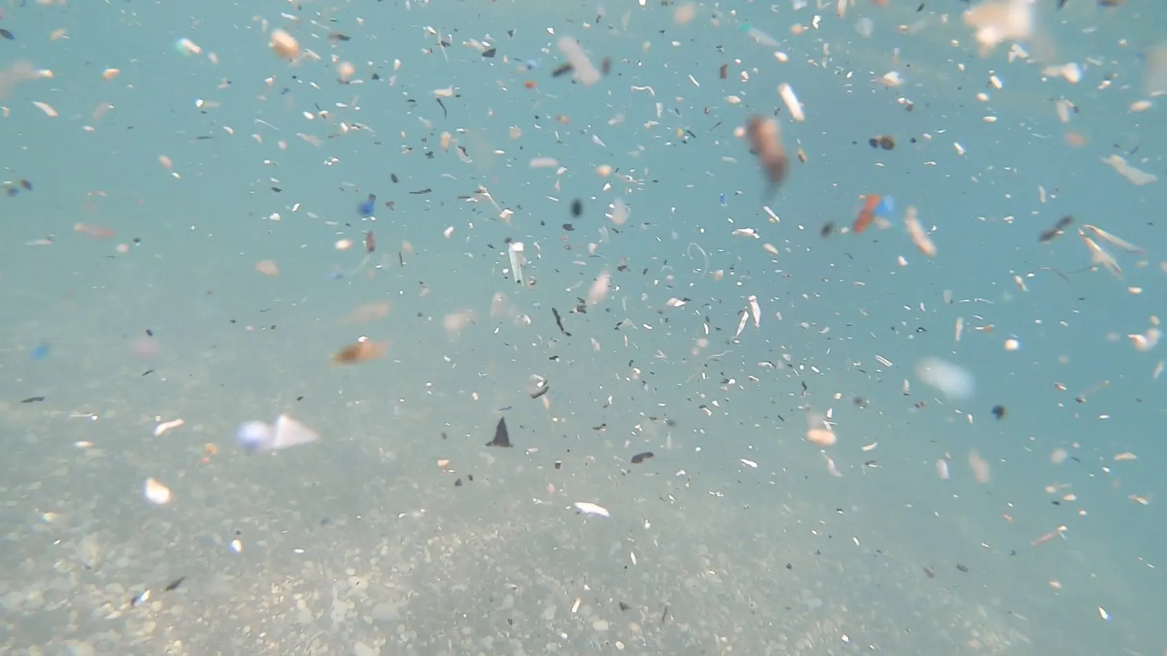 Antalya sahillerindeki gizli tehlike Mikroplastikler sofranıza kadar geliyor