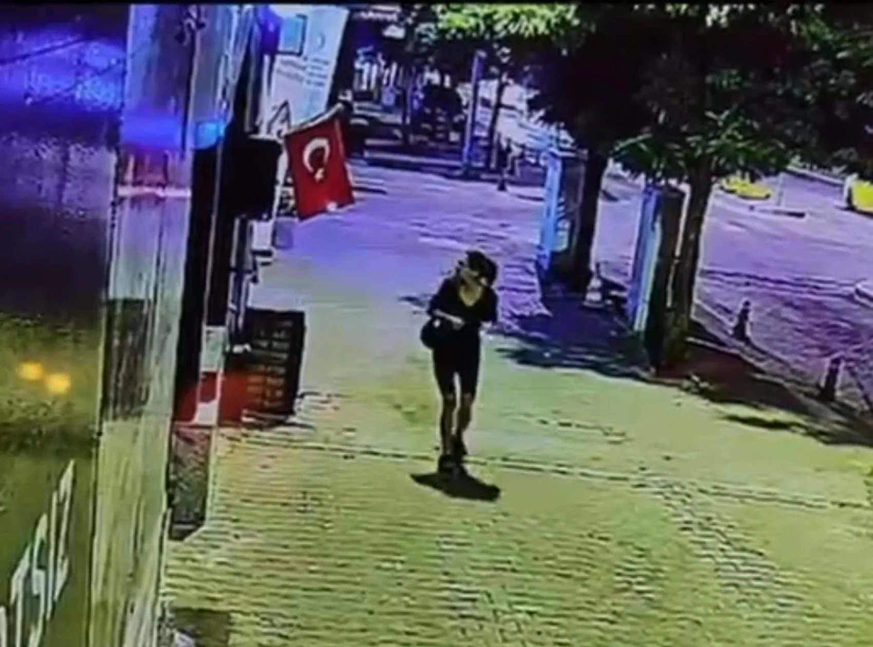 Muğla’da dükkan önündeki Türk bayrağını yakan kadın yakalandı