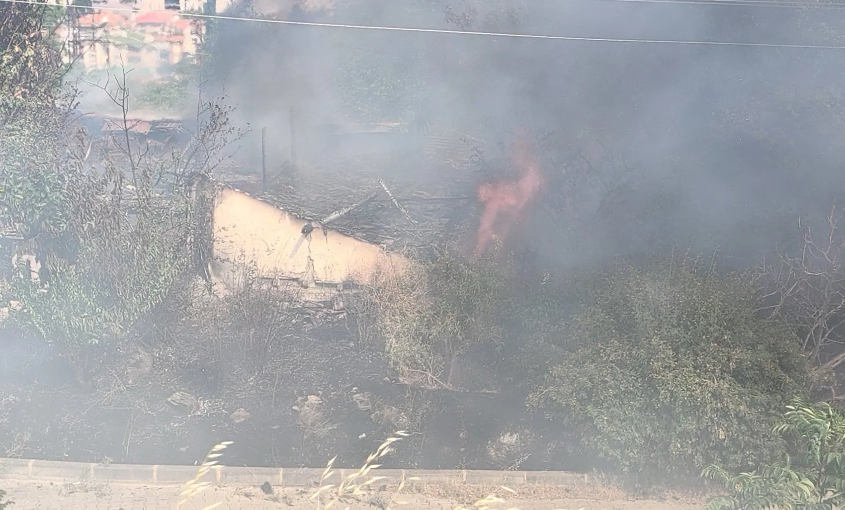 Tokat'ta kuru otlar tutuştu alevler boş binaya sıçradı