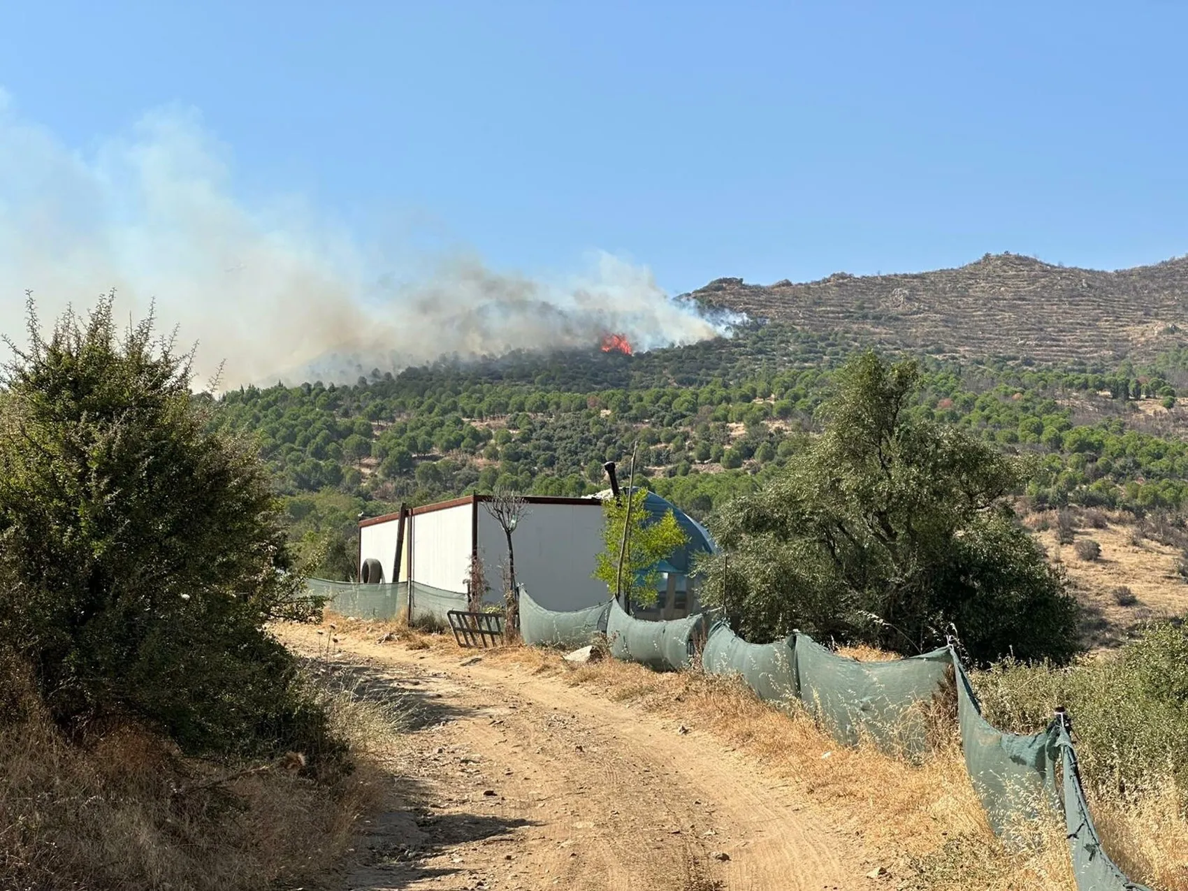 Ödemiş'te orman yangını Alevlere havadan ve karadan müdahale sürüyor