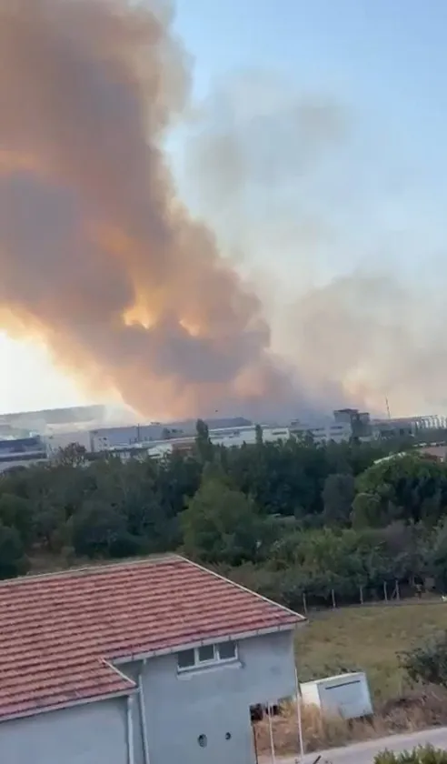 Rüzgar alevleri ormana taşıdı, Bursa'da yangına havadan müdahale var