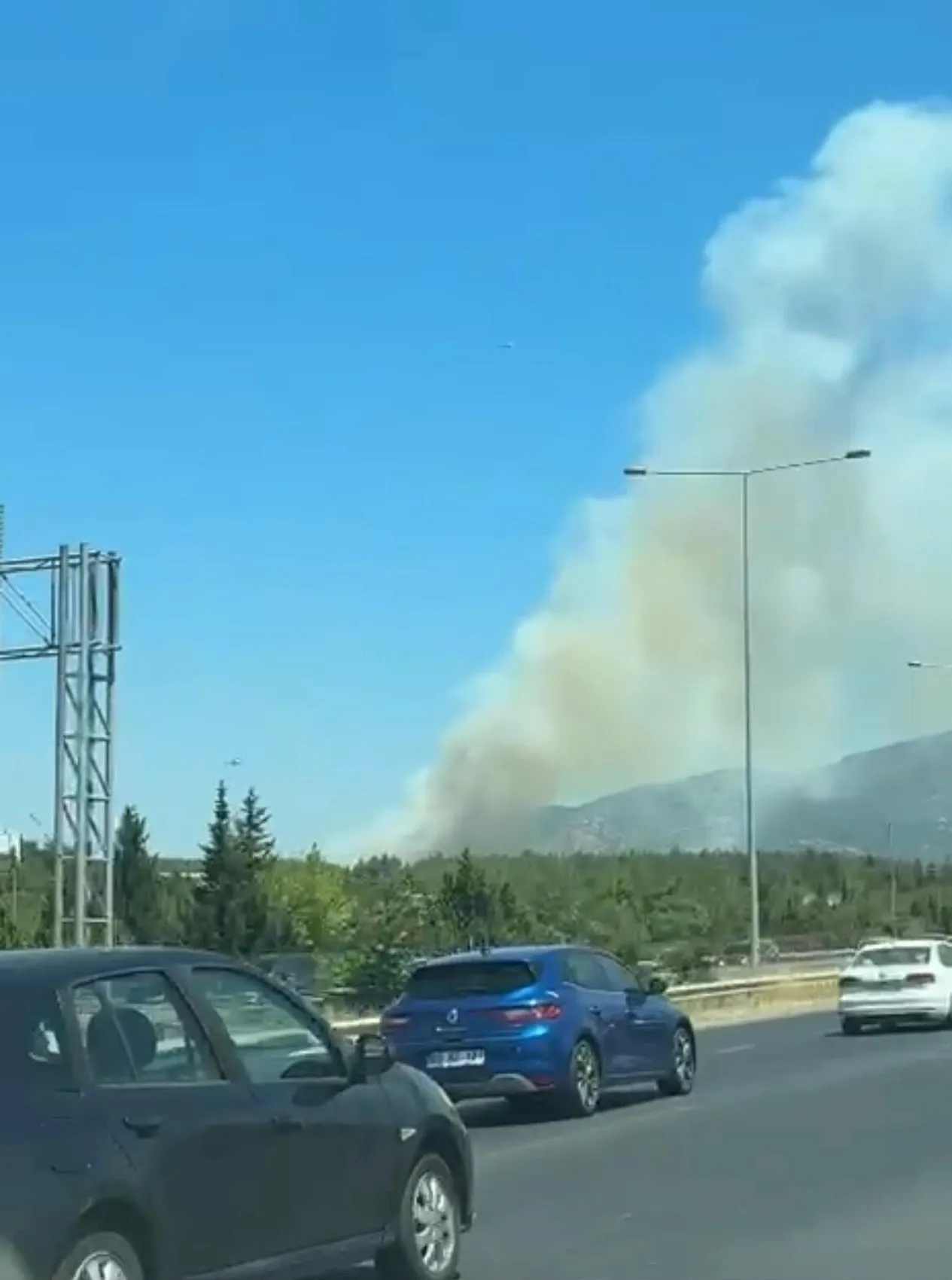 Buca'da orman yangını başladı