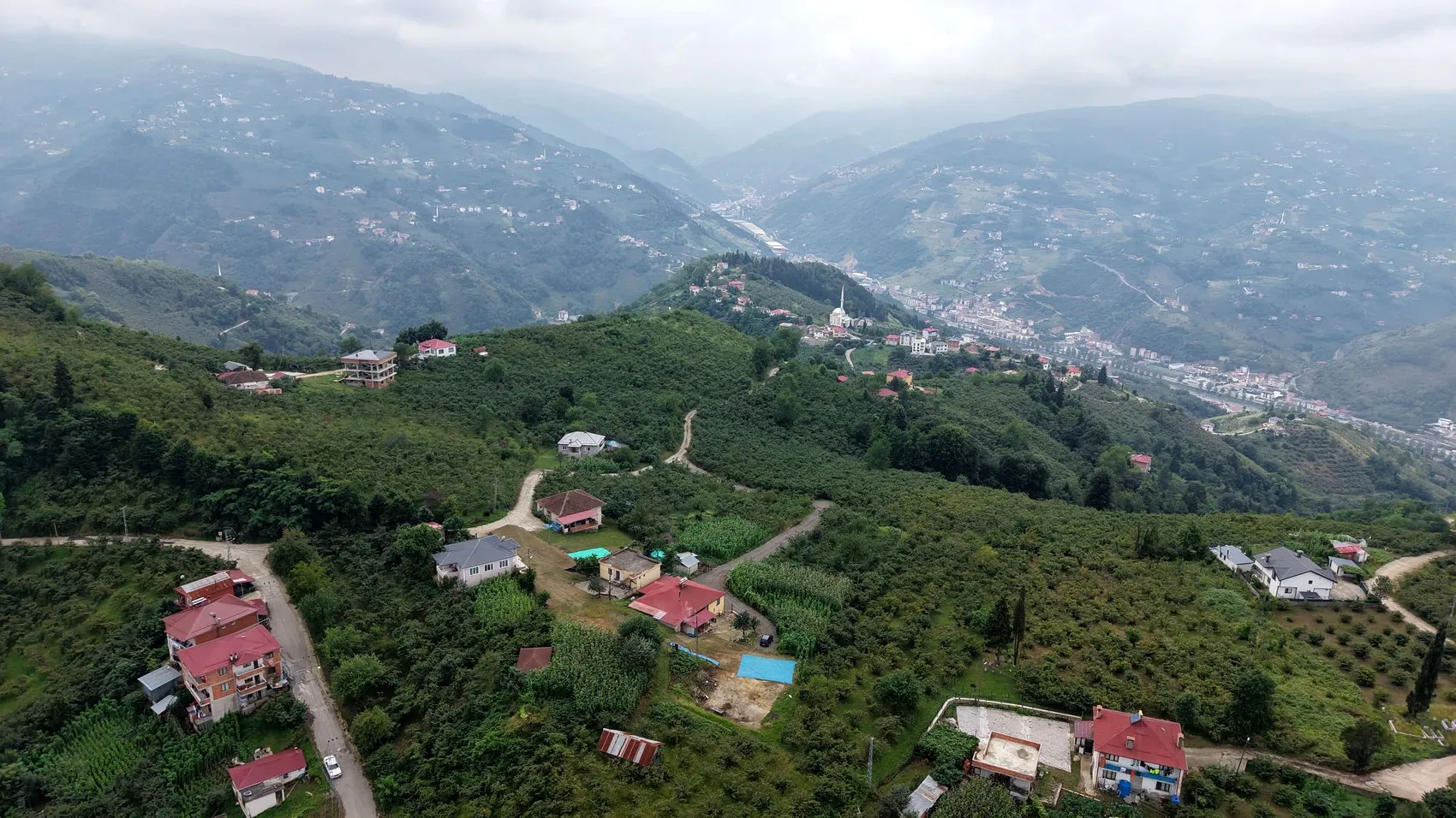 Trabzon'da fındık mesaisi horonla şenlendi