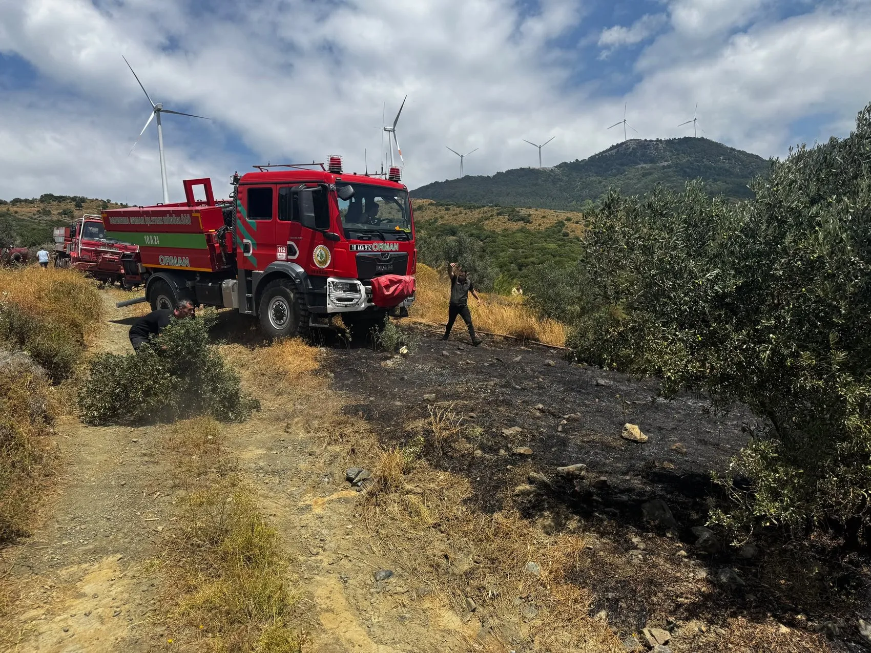Erdek ormanlarında korkutan yangın kontrol altına alındı